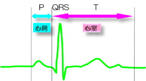 心電図を「理解する」を切り捨てる